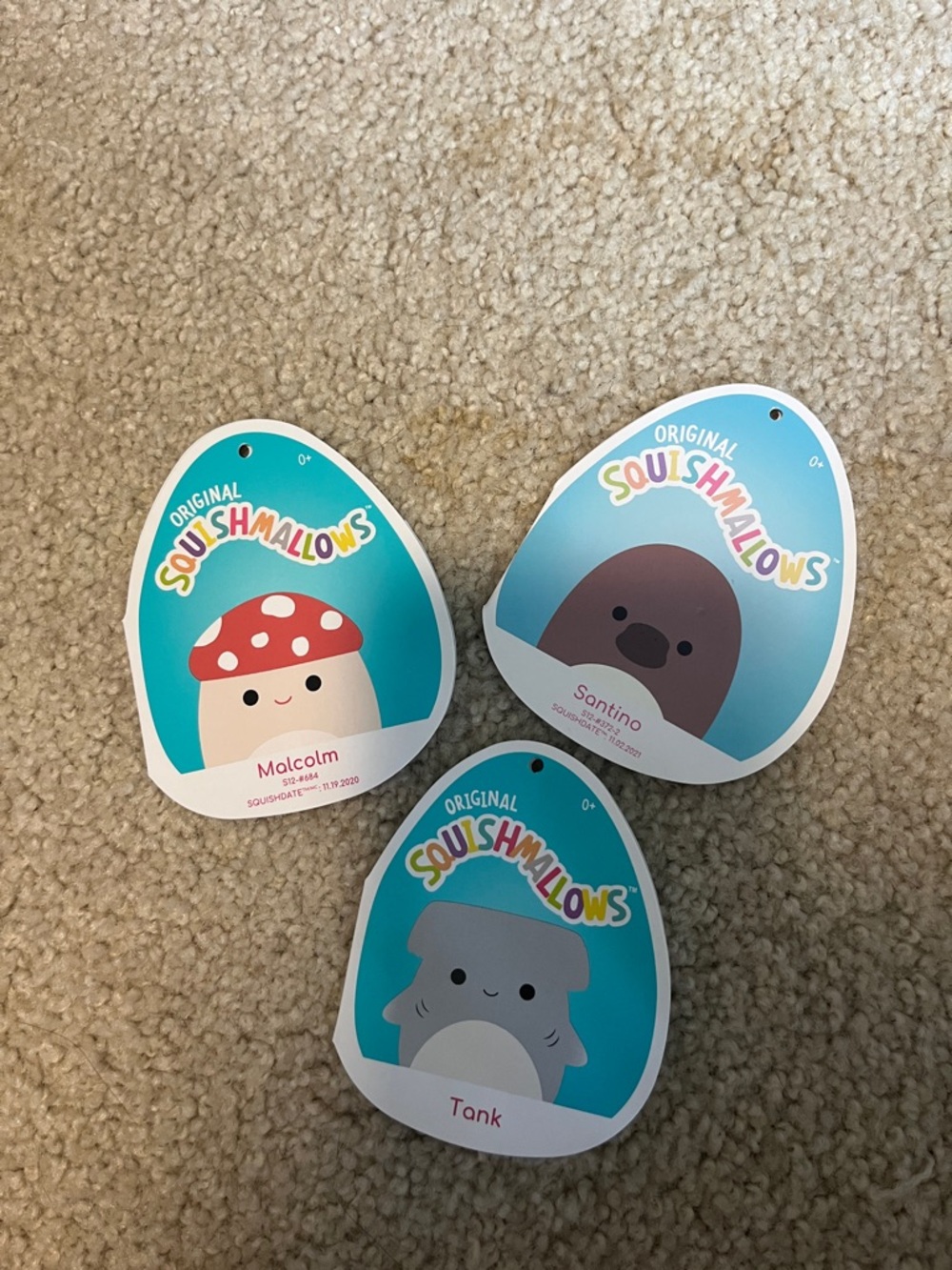 squishmallows - Picture 7 of 7